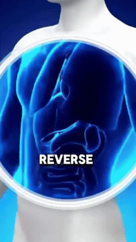 Renueva Tu Hígado Hoy